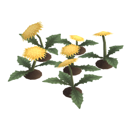 Streaky Dandelion