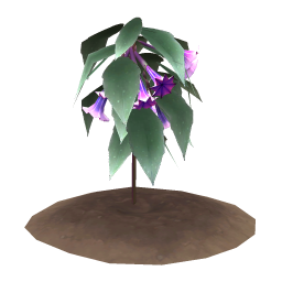Starshine Bellplant
