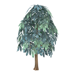 Hickory Tree (average)