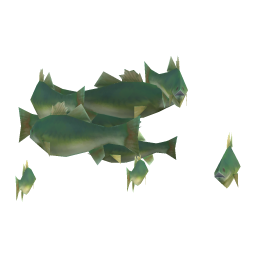 Emerald Bass