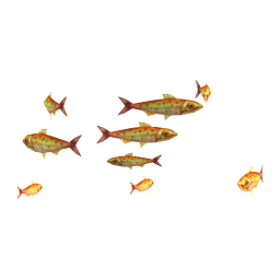 Goldstripe Sardines