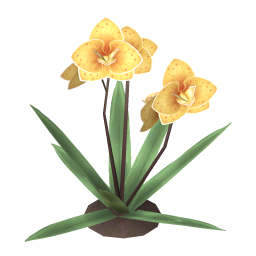 Mokara Orchid