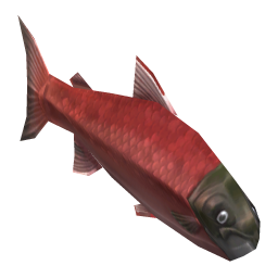 Sockeye Salmon