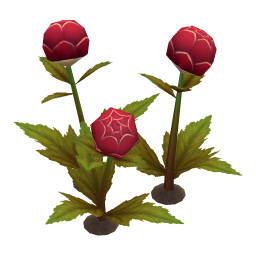 Drake Globeplant