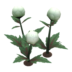 Pastel Globeplant