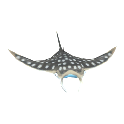 Hoo Ray