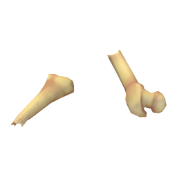 Dusty Femur Shard