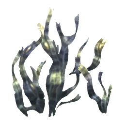 Channeled Wrack