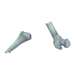 Sharp Femur Shard