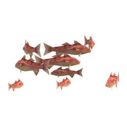 Burly Cod