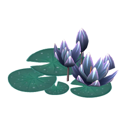 Leopardess Water Lily