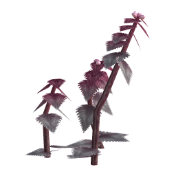 Blood Nettle