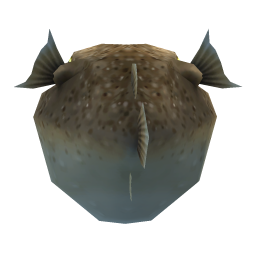 Sandy Pufferfish