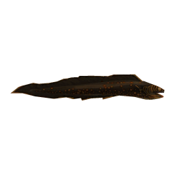 Howrife Eel