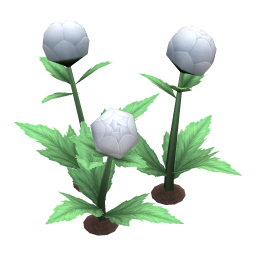 Brilliant Globeplant