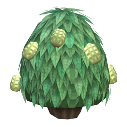 Globular Haleberries