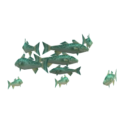Teal Cod