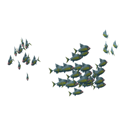 Gilt-Headed Bream