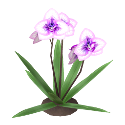 Burstbloom Orchid