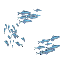 Wishful Herring