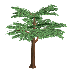 Teak Tree (average)