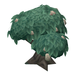 Firm Rind Bitterfruit