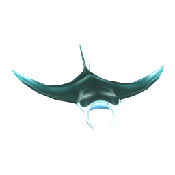 Common Ray