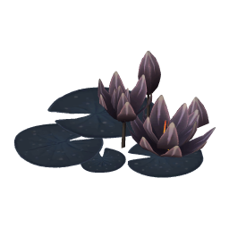 Almost Black Water Lily