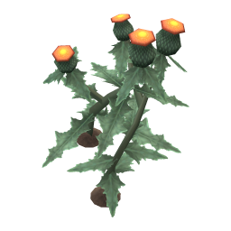 Beacon Thistle