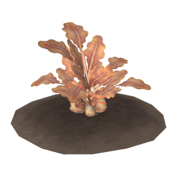 Yamitan Potato