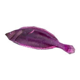 Starry Flounder