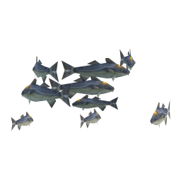Emperor Cod