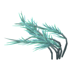Tangled Pond Weed