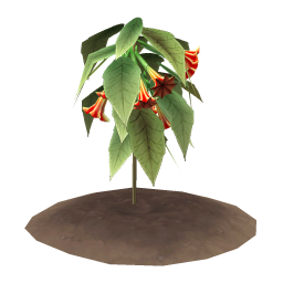 Crimson Bellplant
