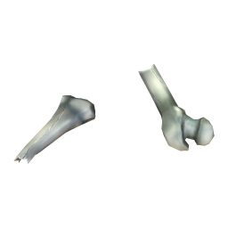 Hard Femur Shard