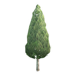 Poplar Tree (average)