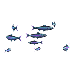 Eminent Sardines