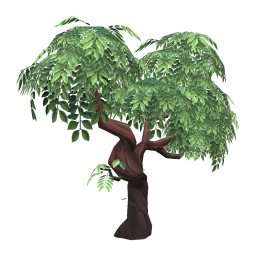 Mahogany Tree (average)