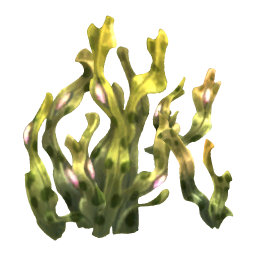 Muscle Wrack