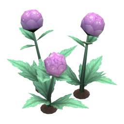 Violet Globeplant