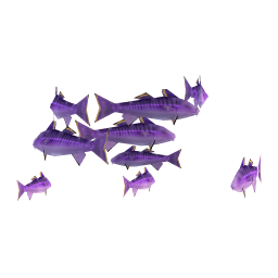Majestic Cod