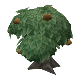 Thickskin Tangfruit