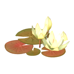 Copper Water Lily