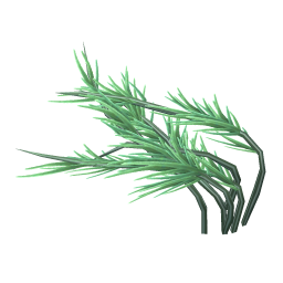 Greenveil Pond Weed