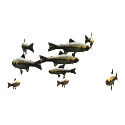 Stout Trout