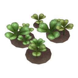 Large Hop Clover