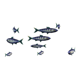 Blue Sardines