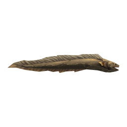 Rocky Eel