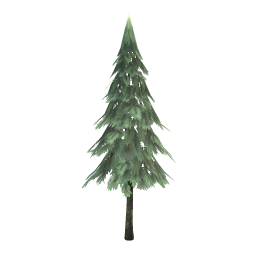 Pine Tree (sturdy)