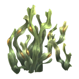 Spiral Wrack